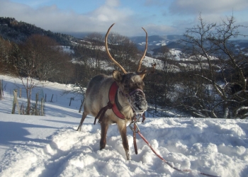 Décembre 2008 003.jpg