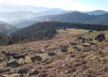 20161228_113347.jpg