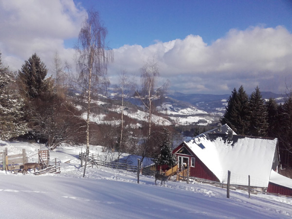 ferme-2